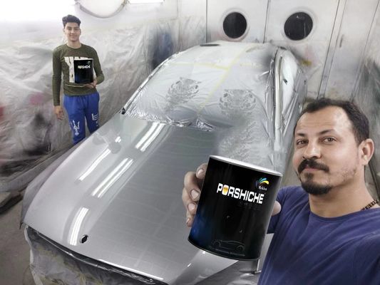 Sabit Elmas Metallik Gümüş Araba Boyası Çok Kullanımlı Su geçirmez