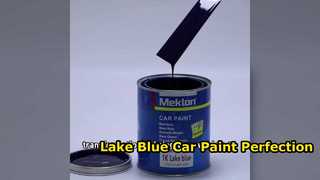 Lake Blue Araba Boyası Tamiri ve Tamiri